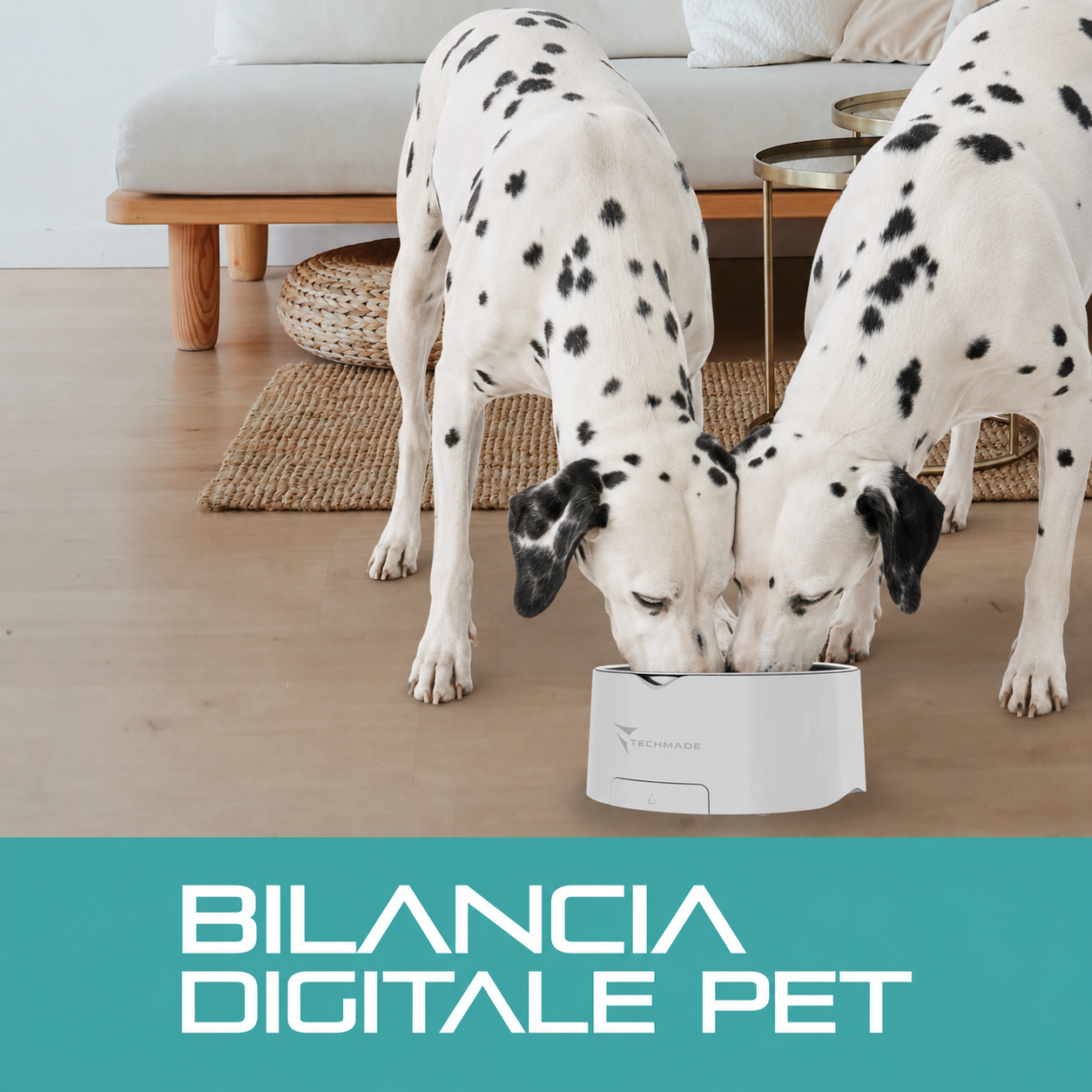 Ciotola Bilancia Smart - Fino a 5KG - per Cani e Gatti